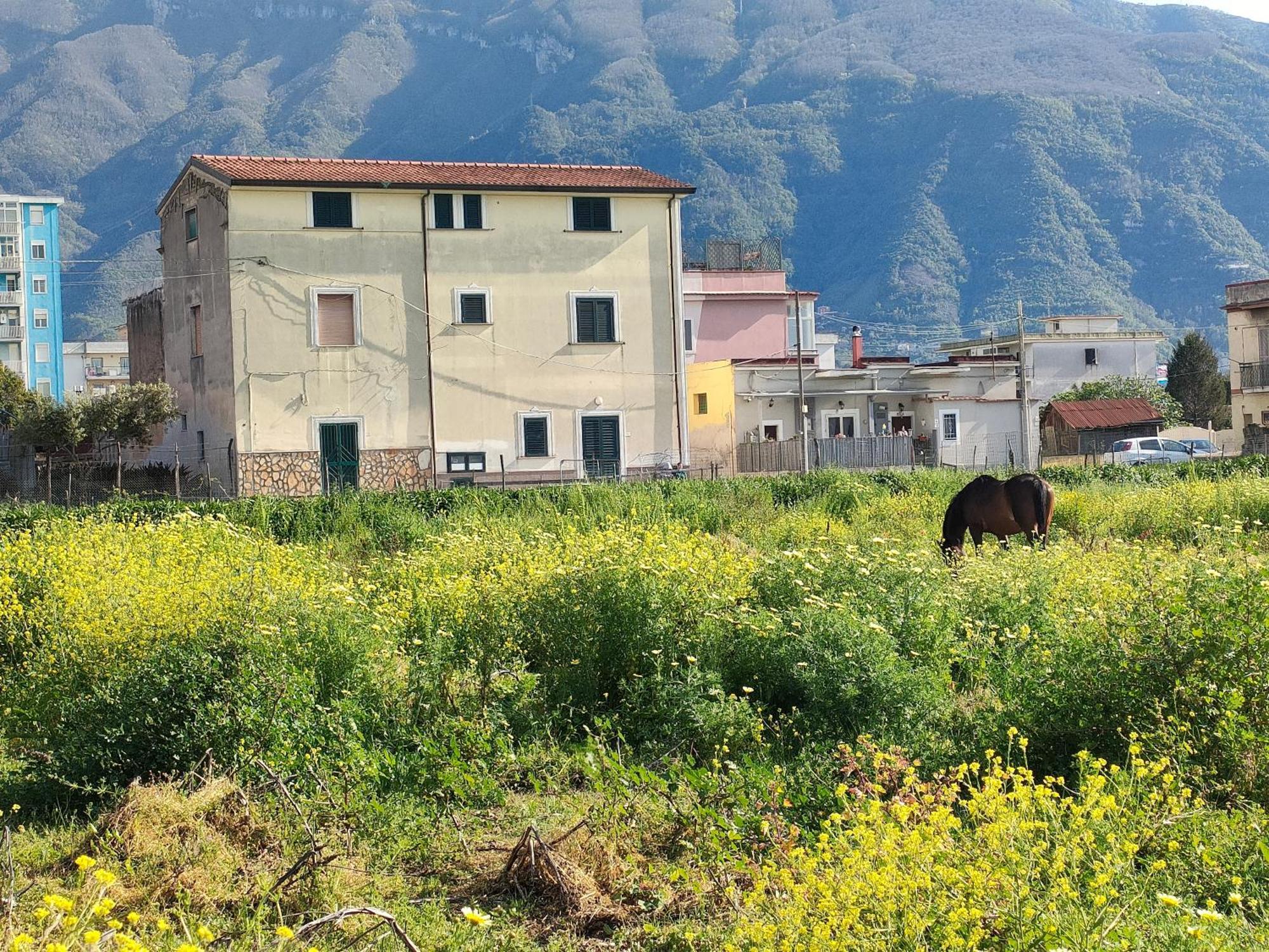 Lilla Housing Castellammare di Stabia Exterior foto